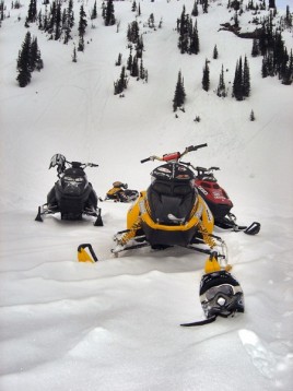 Escursione in Motoslitta