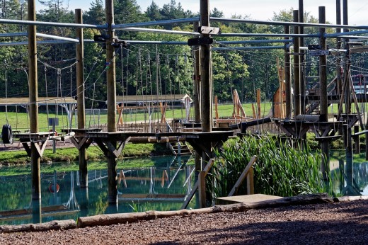 Ingresso Parco Acrobatico & soggiorno 1 notte