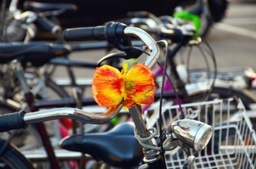 Noleggio bici per 2 giorni