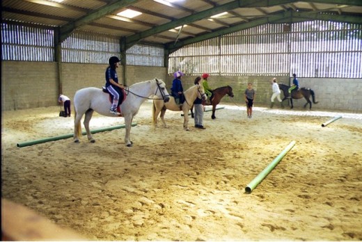 Lezione a cavallo o passeggiata