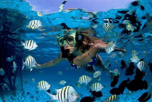 Escursione Snorkeling