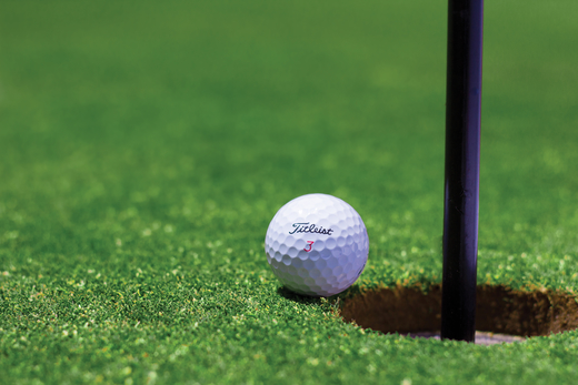 Golf, 2 persone Provincia di Torino