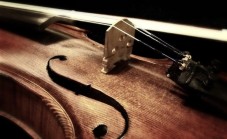 Museo del Violino di Cremona – Esplora la Storia della Liuteria