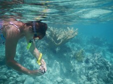 Esperienza di Snorkeling
