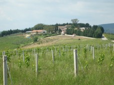 Week end della Vendemmia