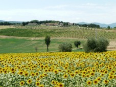 Week end in trilocale - Umbria