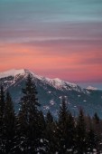 Soggiorno a Madonna di Campiglio 