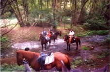 Uscita di due ore a cavallo per 2 in Toscana