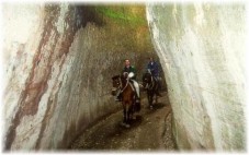 Uscita di un'ora e mezzo a cavallo per 2 in Toscana