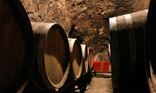 Visit to Pisa and Lucca With Wine Tasting and Lunch in a Local Restaurant