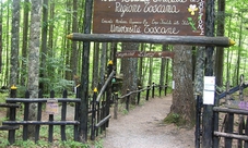 Abetone Mountain: day tour from Florence