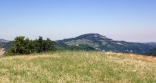 Passeggiata a Cavallo di Coppia sui Colli Bolognesi