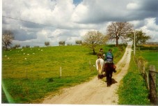 Uscita di un'ora e mezzo a cavallo per 2 in Toscana