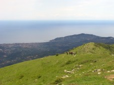 Nordic Walking - corso completo