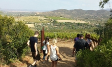 Tour dei vigneti sardi con degustazione