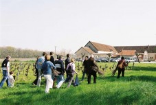 Adotta un Vigneto Chianti