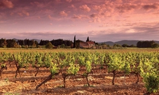 Tour da Siena a San Gimignano, Chianti e Montalcino con degustazione di vini e pranzo leggero