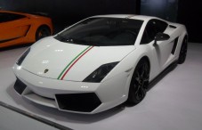 Guida Lamborghini Gallardo 4 giri all'autodromo di Adria