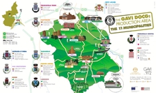 Gavi wine tasting and winery tour in southern Piedmont