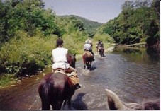 Uscita di due ore a cavallo per 2 in Toscana