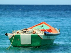 Menù a Base di Pesce