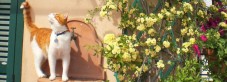 Soggiorno per 2 a Manciano, Toscana - 2 Notti