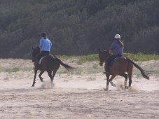 Lezione di equitazione - 2 ore