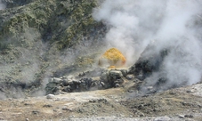 Tour dei Campi Flegrei - Escursione privata