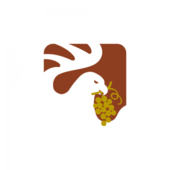 Comparata orizzontale di Sagrantino