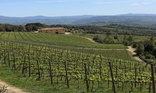Tuscan food and wine tasting in high Maremma, Tuscany