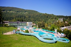 INNAMORARSI ALLE TERME TOPOLSICA