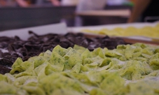 Preparare la pasta fatta in casa nel cuore di Roma